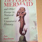 The Feejee Mermaid 19th century hoax mermaid in a wooden exhibition case