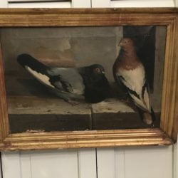 Marc Sopra [?-?] Italian-American genre : <i>Pigeons</i>, 1879.