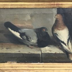 Marc Sopra [?-?] Italian-American genre : <i>Pigeons</i>, 1879.