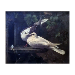 Eugène Remy Maes [1849-1931] : <i>Doves</i>, ca.1927.