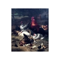 Eugene Remy Maes [1849-1931] : Family of poultry, 1904.