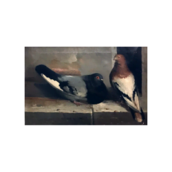 Marc Sopra [?-?] Italian-American genre : <i>Pigeons</i>, 1879.