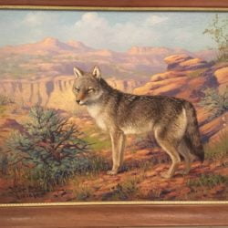 Robert Lindneux [1871-1970] American artist "Colorado Wolf" 1928