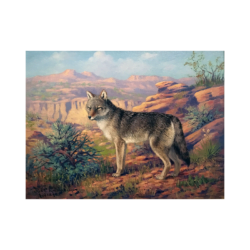 Robert Lindneux [1871-1970] : Colorado wolf, 1928.