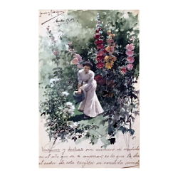 Manuel Garcia y Rodriguez (1863-1925) : Ventures and sayings, 1883.