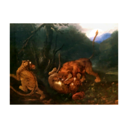 James Ward [attributed, 1769-1859] English painter : Lion fighting leopards, ca.1820.